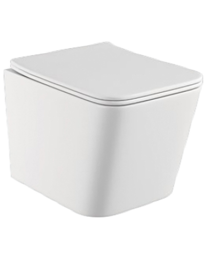 Унітаз підвісний Rivera Borneo Rimles з сидінням 490x340x360mm B0049RQS